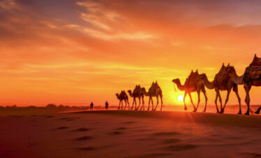 Rajasthan Tour Package